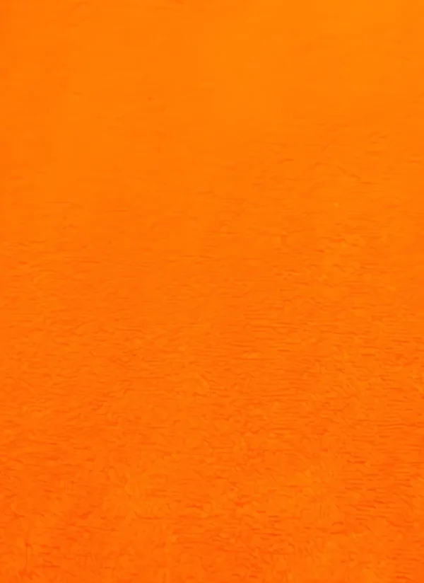 Neon Orange Minky Solid Baby Soft Fabric